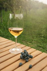 Glas Wein und rote Trauben auf einem Tisch im Weinberg - YBF00257
