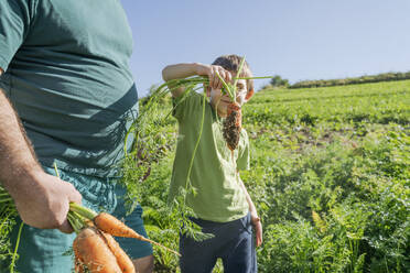 Junge mit Karotte bei seinem Vater im Gemüsegarten an einem sonnigen Tag - OSF02203