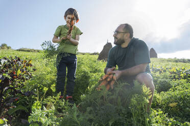 Father looking at son holding carrot standing in vegetable garden - OSF02205