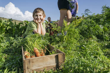 Lächelnder Junge mit Händen am Kinn im Gemüsegarten an einem sonnigen Tag - OSF02208