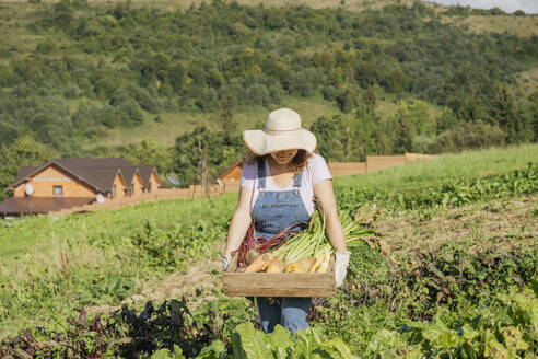 Frau mit Hut hält Gemüsekiste auf einem Feld - OSF02221