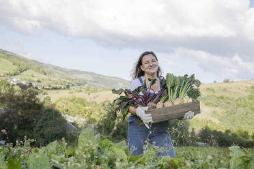 Woman carrying root vegetables in crate at garden - OSF02225