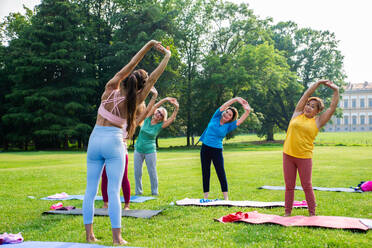 Multiethnische Gruppe älterer Frauen beim Training im Park mit einem Fitnesstrainer - Aktive ältere Menschen beim Sport in der Natur - DMDF07090