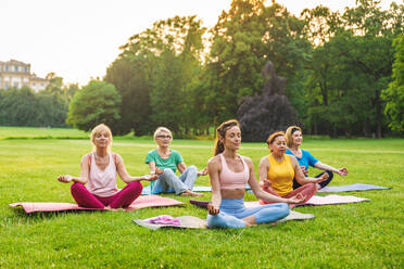 Multiethnic group of senior women training at park with fitness instructor - Active elderly people doing sport in the nature - DMDF07105