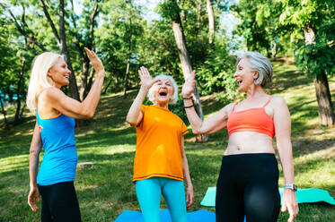 Gruppe schöner sportlicher älterer Frauen, die im Freien trainieren - Ältere Erwachsene und alte Freunde machen Fitnessübungen in einem Park, um gesund und fit zu bleiben - DMDF07155