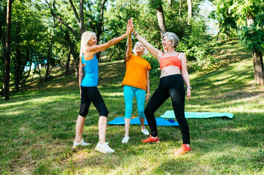 Gruppe schöner sportlicher älterer Frauen, die im Freien trainieren - Ältere Erwachsene und alte Freunde machen Fitnessübungen in einem Park, um gesund und fit zu bleiben - DMDF07156
