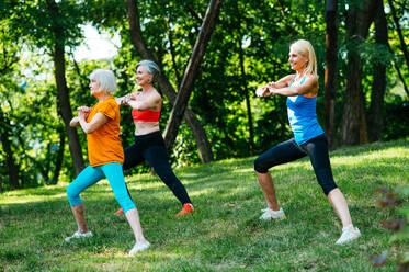 Gruppe schöner sportlicher älterer Frauen, die im Freien trainieren - Ältere Erwachsene und alte Freunde machen Fitnessübungen in einem Park, um gesund und fit zu bleiben - DMDF07158
