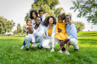 Schöne glückliche afrikanische amerikanische Familie, die sich im Park trifft - Schwarze Familie hat Spaß im Freien - DMDF07163