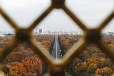 Deutschland, Berlin, Autobahn umgeben von herbstlichen Parkbäumen von der Siegessäule aus gesehen - MMPF00975