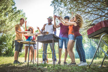 Glückliche multirassische Freunde, die sich beim Picknick, beim Grillen und bei der Gartenparty amüsieren - DMDF07365
