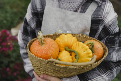 Farmer carrying basket of organic pumpkins at farm - VBUF00432
