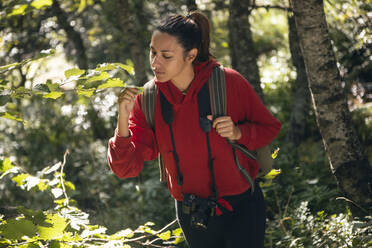 Frau mit Kamera, die ein Blatt im Wald untersucht - JSRF02674