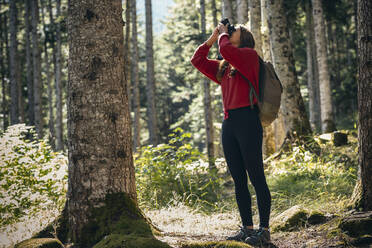 Junge Frau fotografiert mit Kamera an einem Baum im Wald - JSRF02680
