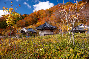 Schöner japanischer Tempel, umgeben von goldenen und roten Herbstfarben, Osorezan Bodaiji Tempel, Mutsu, Präfektur Aomori, Honshu, Japan, Asien - RHPLF28228