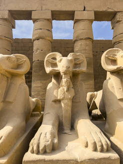 Zwei imposante Sphinx-Statuen mit Widderkopf bewachen den Eingang des Karnak-Tempelkomplexes, einer UNESCO-Welterbestätte in Luxor, Ägypten - RHPLF28304