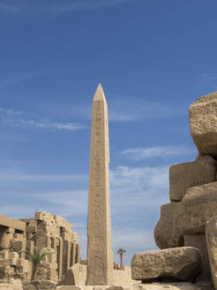 Der beeindruckende Oobelisk von Thutmosis I. erhebt sich im Tempelkomplex von Karnak, einer UNESCO-Welterbestätte in Luxor, Ägypten - RHPLF28312