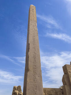 Der beeindruckende Obelisk von Thutmosis I. erhebt sich zwischen den Tempeln, Pylonen und Kapellen des Karnak-Tempelkomplexes, einer UNESCO-Welterbestätte in der Nähe von Luxor, Theben, Ägypten - RHPLF28316