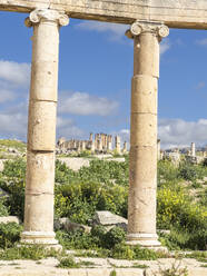 Säulen auf dem ovalen Platz in der antiken Stadt Jerash, gegründet im Jahr 331 v. Chr. von Alexander dem Großen, Jordanien - RHPLF28342