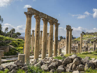 Säulen auf dem ovalen Platz in der antiken Stadt Jerash, gegründet im Jahr 331 v. Chr. von Alexander dem Großen, in Jordanien - RHPLF28356