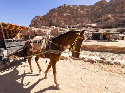 Donkey cart, Petra Archaeological Park, UNESCO World Heritage Site, one of the New Seven Wonders of the World, Petra, Jordan, Middle East - RHPLF28376