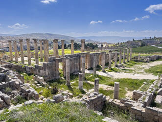 Columns frame a building in the ancient city of Jerash, believed to be founded in 331 BC by Alexander the Great, Jerash, Jordan, Middle East - RHPLF28382