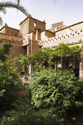 Historic Kasbah Amridil surrounded by trees, Skoura, Atlas mountains, Ouarzazate province, Morocco, North Africa, Africa - RHPLF28497