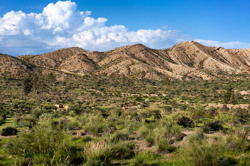 Tabernas desert landscape on a sunny day, Almeria, Andalusia, Spain, Europe - RHPLF28547