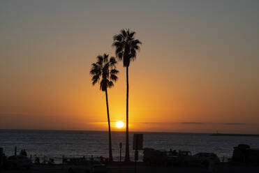 Sunset over the ocean and two palm trees in silhouettte, Dana Point, California, United States of America, North America - RHPLF28579