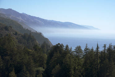 Hills and forest with misty coastline beyond, Big Sur, California, United States of America, North America - RHPLF28582