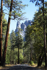 Yosemite National Park, UNESCO World Heritage Site, California, United States of America, North America - RHPLF28586