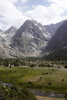 Das abgelegene und spektakuläre Fann-Gebirge, Teil der westlichen Pamir-Alay, Tadschikistan, Zentralasien, Asien - RHPLF28606