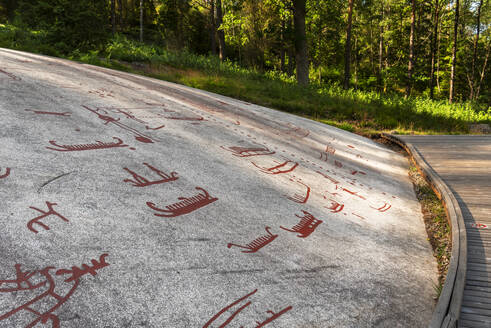 Bronze Age rock carving in Tanum, UNESCO World Heritage Site, Vastra Gotaland, Bohuslan province, Sweden, Scandinavia, Europe - RHPLF28668