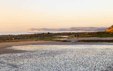 A view of Cap Blanc Nez from Cap Gris Nez at sunset, Cote d'Opal, Pas de Calais, France, Europe - RHPLF28670