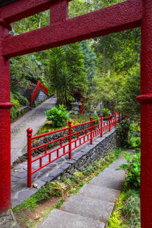 Monte Palace Tropical Garden, Funchal, Madeira, Portugal, Atlantic, Europe - RHPLF28675