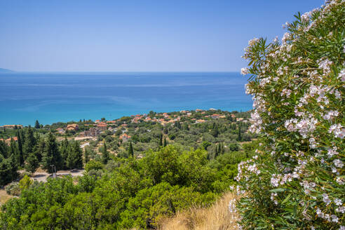 View of olive groves and coastline near Lourdata, Kefalonia, Ionian Islands, Greek Islands, Greece, Europe - RHPLF28773