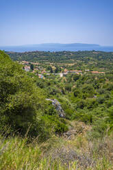 View of olive groves and coastline near Lourdata, Kefalonia, Ionian Islands, Greek Islands, Greece, Europe - RHPLF28789