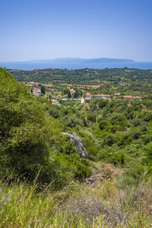 View of olive groves and coastline near Lourdata, Kefalonia, Ionian Islands, Greek Islands, Greece, Europe - RHPLF28789