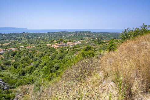 View of olive groves and coastline near Lourdata, Kefalonia, Ionian Islands, Greek Islands, Greece, Europe - RHPLF28791
