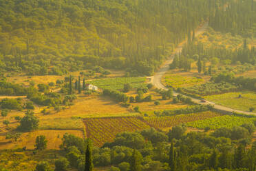 View of inland woodland and vineyards near Poulata, Kefalonia, Ionian Islands, Greek Islands, Greece, Europe - RHPLF28832