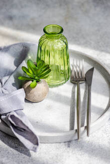 High angle of minimalist table setting with small potted plant on plate with cutlery and empty bottle in sunlight - ADSF48041