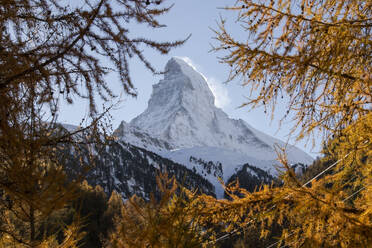 Majestic landscape of rocky mountains with coniferous trees against blue sky in at sunset in switzerland in autumn - ADSF48059