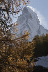 Majestic landscape of rocky mountains with coniferous trees against blue sky in at sunset in switzerland in autumn - ADSF48060