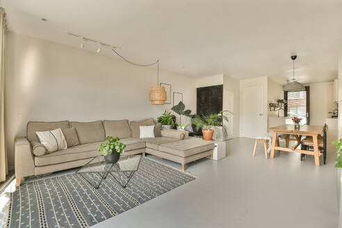 Comfortable sofa with coffee table and potted plants decorated in spacious living room at modern home with white walls - ADSF48088