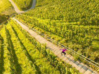 Junge Frau läuft auf Stufen inmitten eines grünen Weinbergs - STSF03781