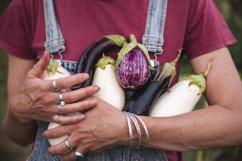 Woman holding varieties of eggplants - PCLF00804