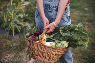 Woman holding wicker basket with vegetables in orchard - PCLF00807