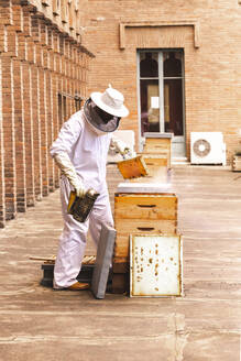 Imker in Arbeitsschutzkleidung bei der Arbeit am Bienenstand - PCLF00817