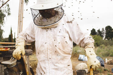 Imker in Arbeitsschutzkleidung bei der Arbeit im Bienenstock - PCLF00823