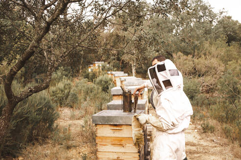 Imker bei der Arbeit an hölzernen Bienenstöcken in einem Bienenhaus - PCLF00824