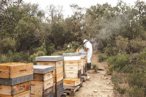 Imker bei der Arbeit an hölzernen Bienenstöcken im Bienenhaus - PCLF00825